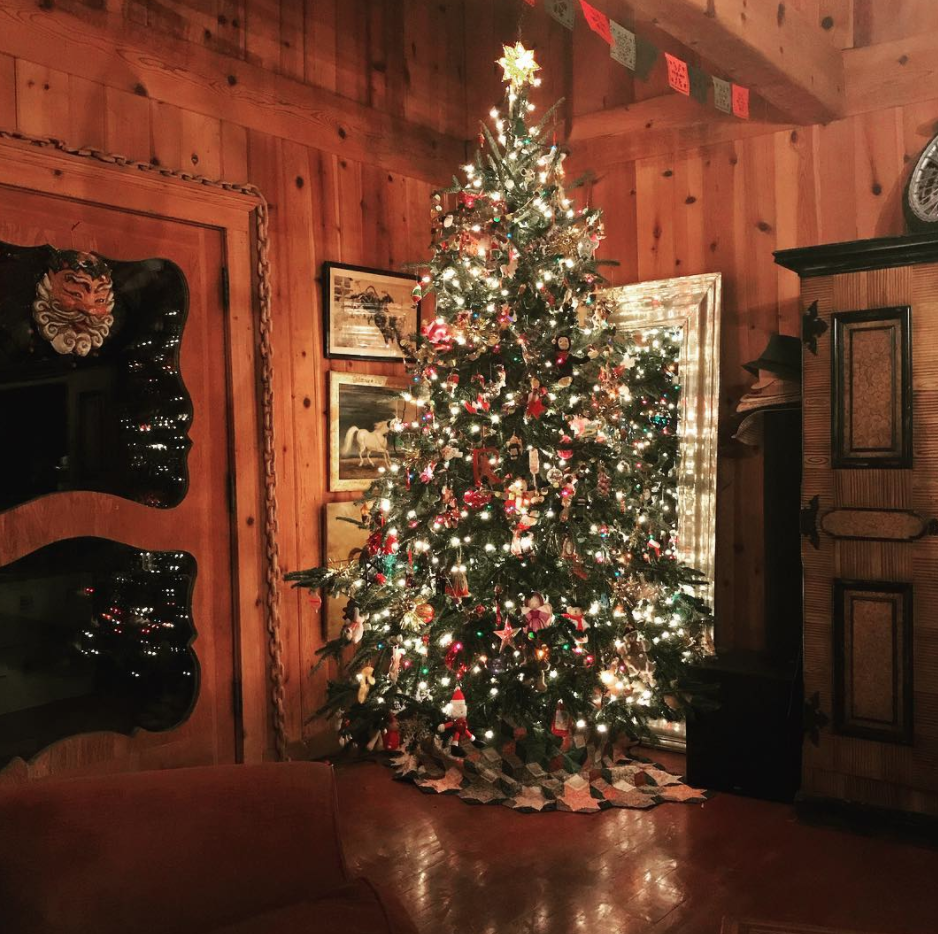 <p><span>Wow! Romijn decorated her tree for an old-fashioned family Christmas. </span>(Photo: <a rel="nofollow noopener" href="https://www.instagram.com/p/Bci3YSNHm_c/?hl=en&taken-by=rebeccaromijn" target="_blank" data-ylk="slk:Rebecca Romijn via Instragram;elm:context_link;itc:0;sec:content-canvas" class="link ">Rebecca Romijn via Instragram</a>) </p>