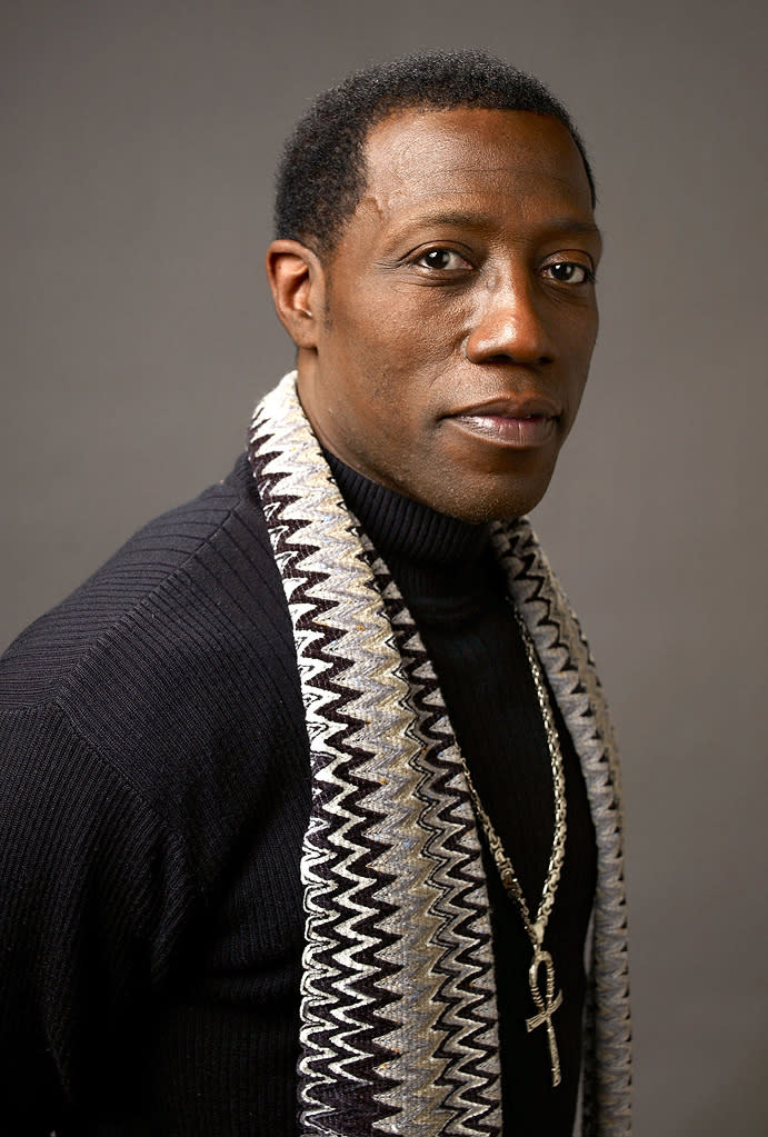 Fame School Alumni Wesley Snipes