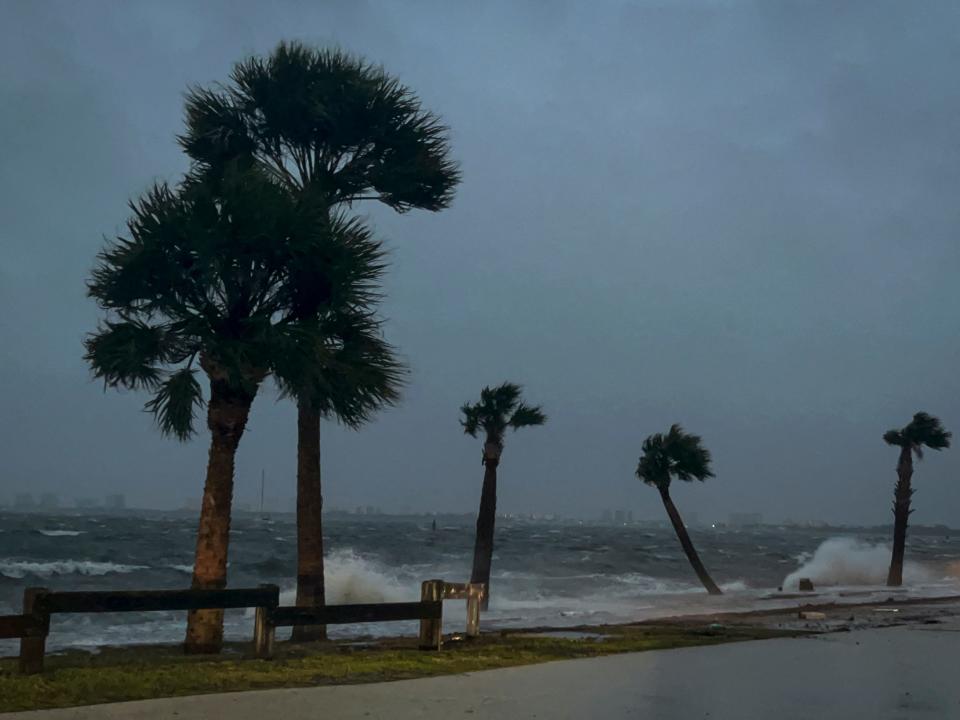 Palm trees swaying in the wind on a stormy beach