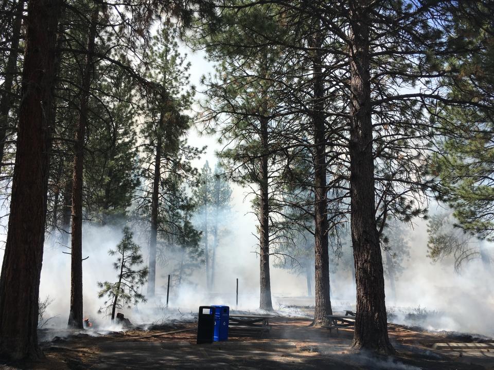 In this May 14, 2021, photo provided by the High Desert Museum, U.S. Forest Service firefighters carry out a prescribed burn on the grounds of the High Desert Museum, near Bend, Oregon. The prescribed burn is part of a massive effort in wildlands across the West to prepare for a fire season that follows the worst one on record. (Heidi Hagemeier/High Desert Museum via AP)