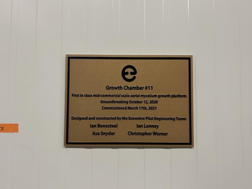 After the mycelium strain is tested against 35 different parameters and approved, it enters growth chamber 11 for the final testing point. What’s harvested from GC11 is 20 meters long by one and a half meters wide.