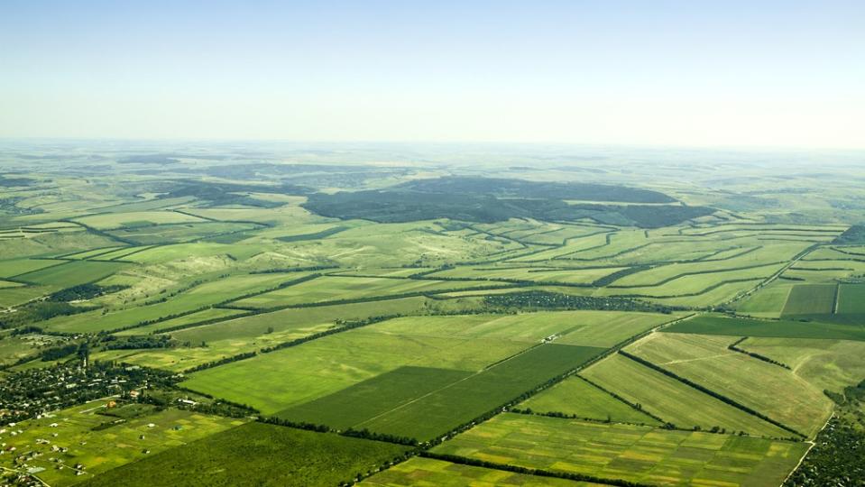 Invest in farmland like industry leader Bill Gates