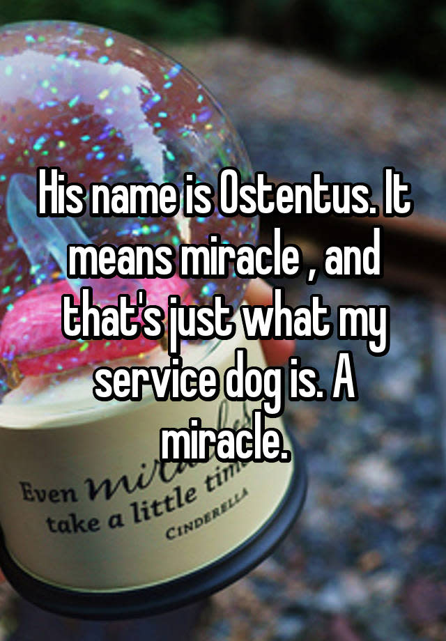 His name is Ostentus. It means miracle , and that's just what my service dog is. A miracle.