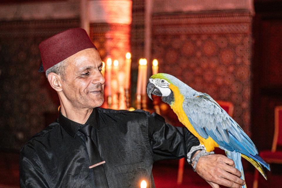 Waiter and parrot at Palais Soleiman restaurant (Rich Booth)