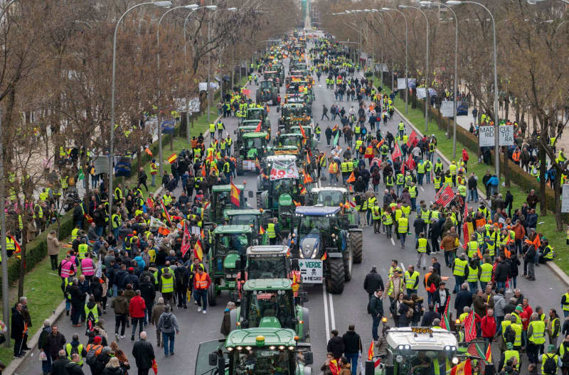 Demonstrating farmers walk along the the Paseo de la Castellana during a protest against the European agricultural policies and their working conditions. Alberto Ortega/EUROPA PRESS/dpa