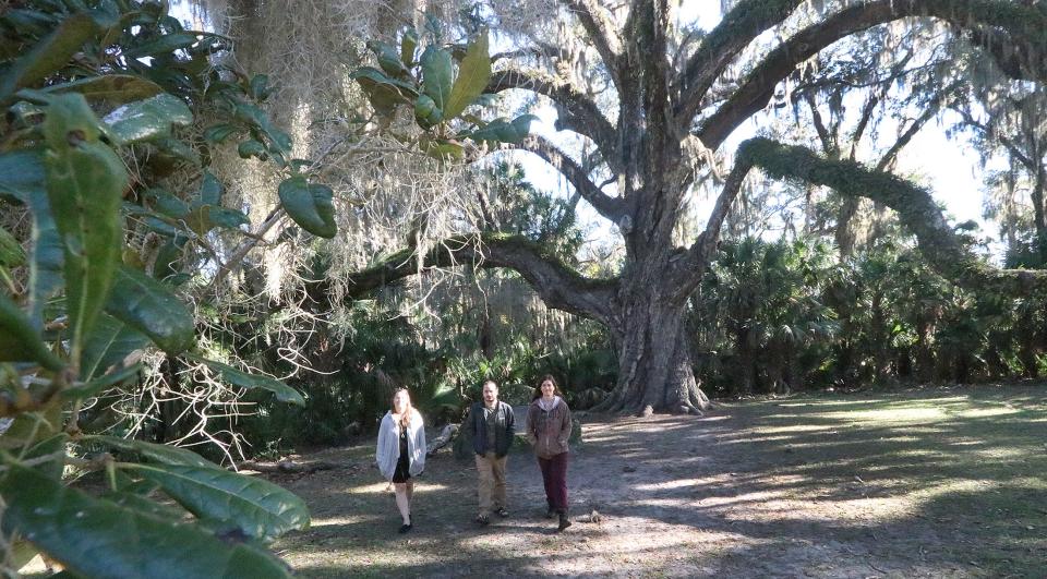People visit the Fairchild Oak in Bulow Creek State Park in Ormond Beach.