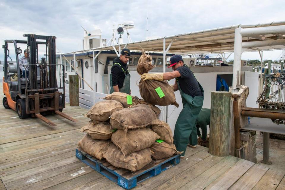 In this file photo, workers from Crystal Seas Oysters in Pass Christian unload bags of oysters that were harvested from one of the company’s private leases in Louisiana. The company has been relying more on its leased grounds because Mississippi hasn’t opened its public reefs for harvesting since 2018. Hannah Ruhoff/Sun Herald/File