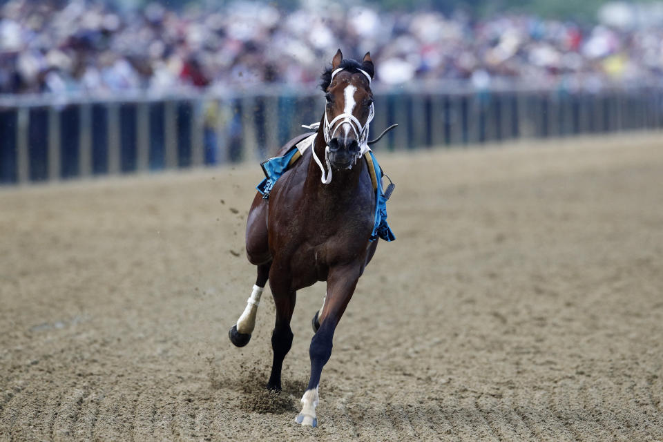 Bodexpress runs in the 144th Preakness Stakes horse race without John Velazquez at Pimlico race course, Saturday, May 18, 2019, in Baltimore. War of Will, ridden by Tyler Gaffalione won. (AP Photo/Patrick Semansky)