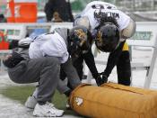 Hamilton Tiger-Cats' Brandon Banks (L) and Chevon Walker warm up their hands in the extreme cold during the team practice in Regina, Saskatchewan, November 20, 2013. The Saskatchewan Roughriders will play the Hamilton Tiger-Cats in the CFL's 101st Grey Cup in Regina November 24, 2013. REUTERS/Todd Korol (CANADA - Tags: SPORT FOOTBALL)