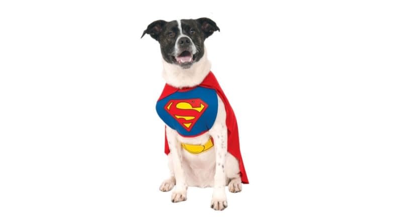 In this getup, your mutt can rescue you right back.