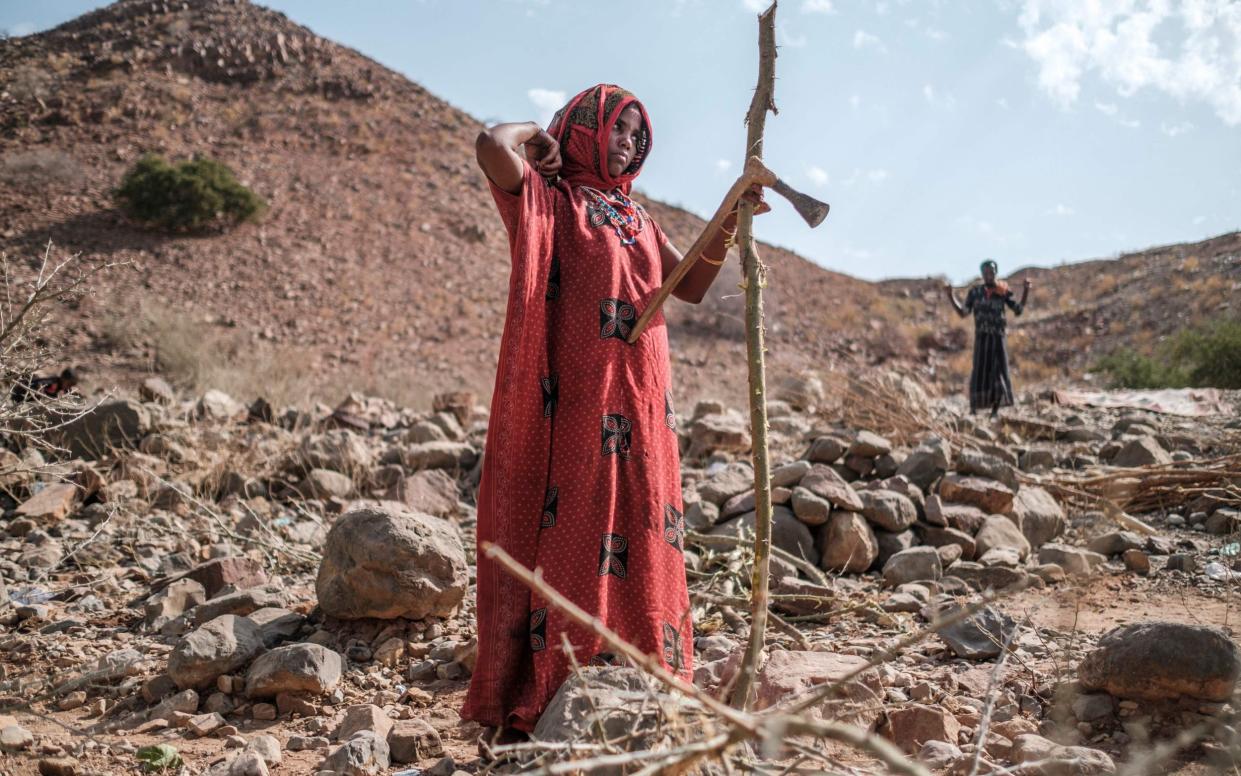 There are mounting concerns that the food crisis is set to deteriorate come autumn, following forecasts indicating there will be a fifth failed rainy season - EDUARDO SOTERAS/AFP