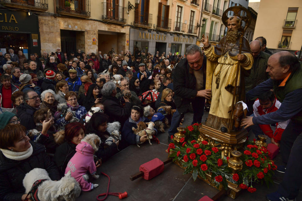 Blessing of the animals on St. Anthony’s Day