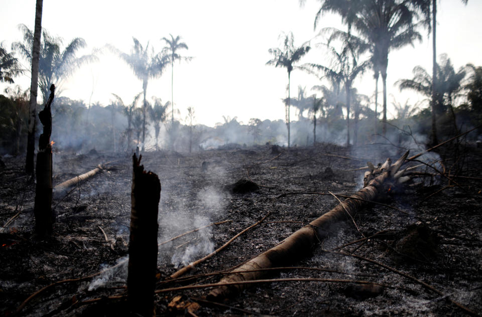 A charred trunk is seen on a tract of Amazon jungle that was recently burned by loggers and farmers in Iranduba, Amazonas state, Brazil Aug. 20, 2019. (Photo: Bruno Kelly/Reuters)