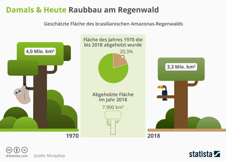 Infografik: Raubbau am Regenwald | Statista