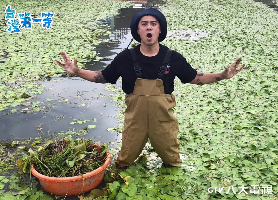 &#x007ac7;&#x00667a;&#x005b54;&#x007a2e;&#x00690d;&#x005370;&#x005ea6;&#x008395;&#x0083dc;&#x00ff08;&#x005716;&#x00ff0f;&#x00516b;&#x005927;&#x00ff09;