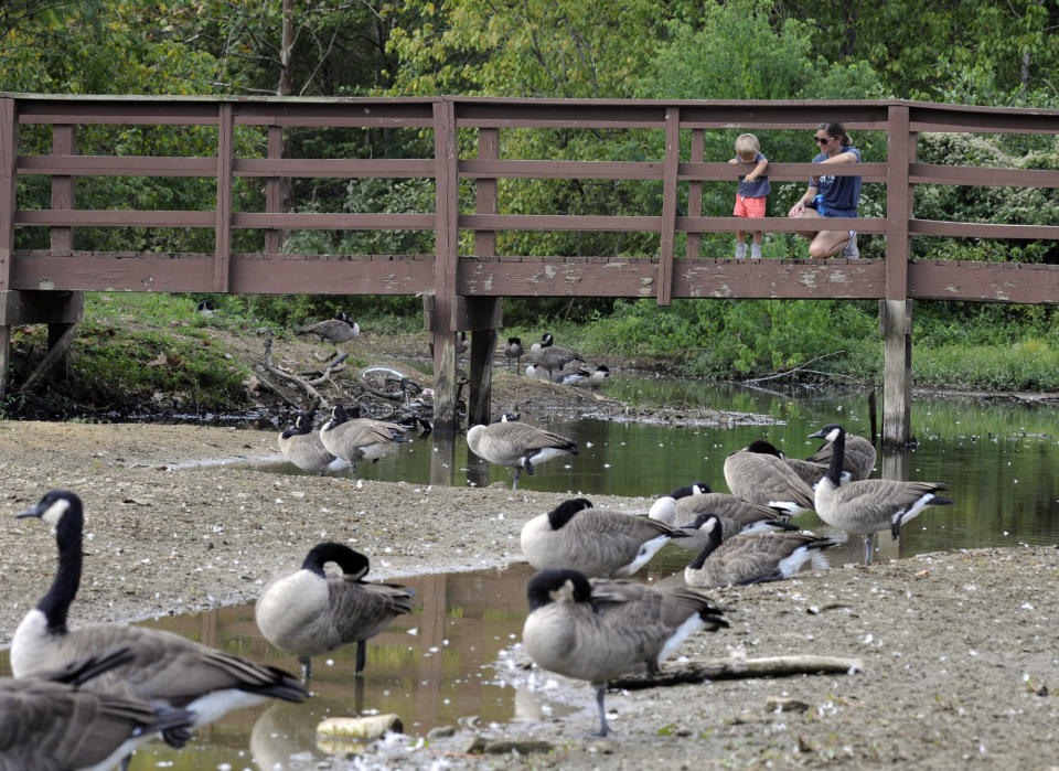 April Hebert watches her 1-year-old son Collins toss rocks into a partially dried-up creek in Helena, Ala., on Thursday, Sept. 26, 2019. Weeks of dry, hot weather have plunged the Deep South further into a drought that a federal assessment says is affecting more than 11 million people and threatening crops across a five-state region. (AP Photo/Jay Reeves)