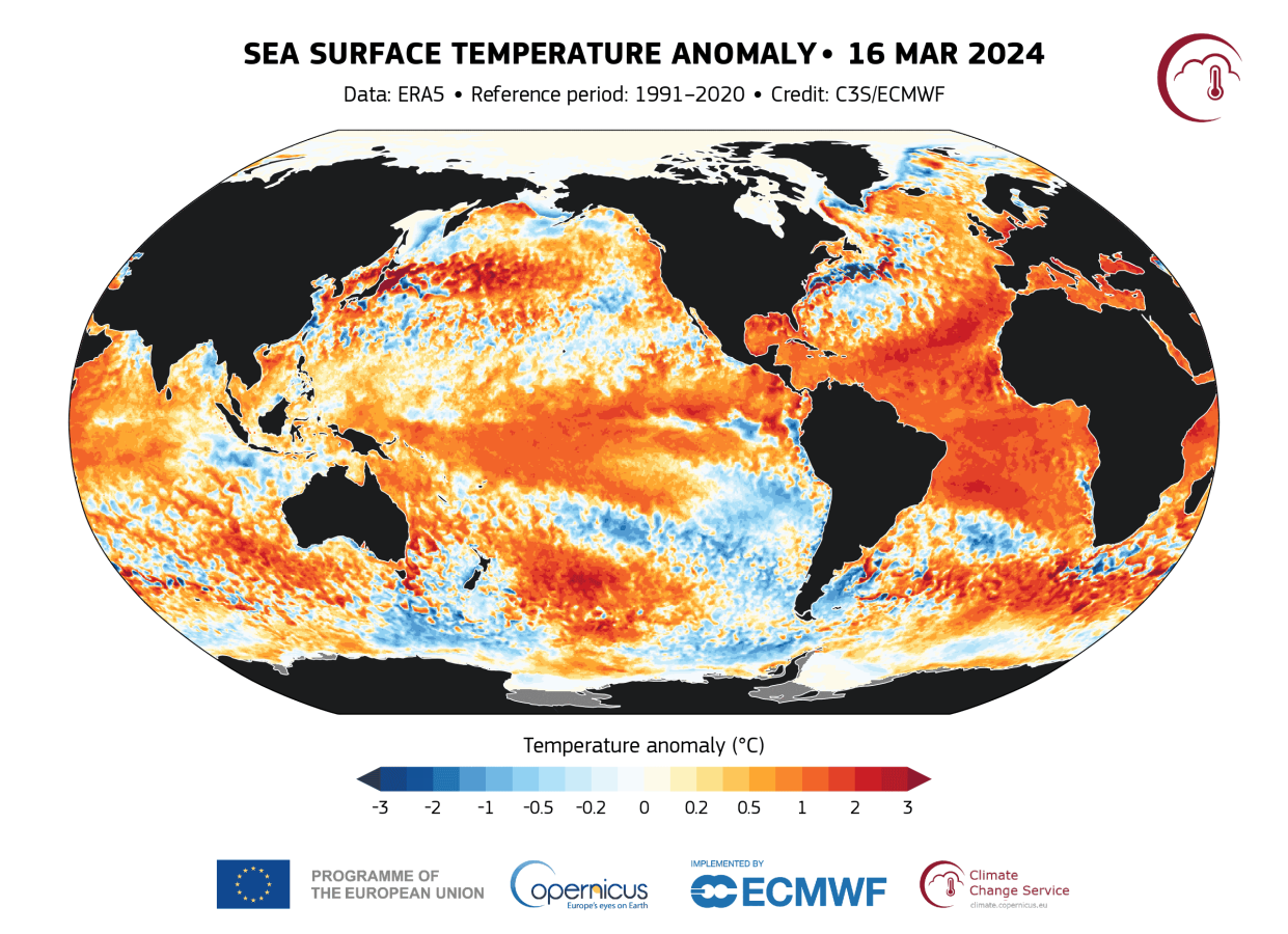 Global sea surface temperatures have been above normal and above projections in the global oceans for months, and scientists aren't sure why.