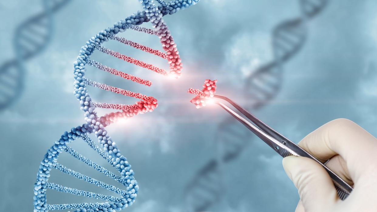  Concept of gene editing. Here we see a gloved hand with tweezers pinching out a part of a DNA double helix. 