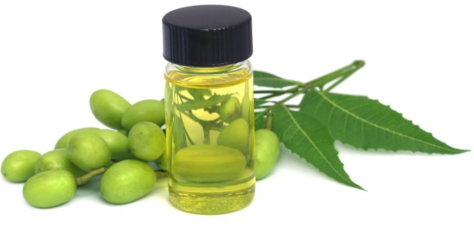 Neem oil softens, moisturises and protects the skin and can also be used as a deodorant. 