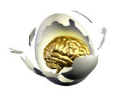 <div class="caption-credit"> Photo by: LindaMarieB</div><b>Eggs improve your brain and memory</b> <br> Choline enhances development of the brain, and improves its function. It also helps you in remembering and recalling things easily. Eggs contain significant amounts of this nutrient. <br> <ul> <li> <a rel="nofollow noopener" href="http://betterhealthblog.com/10-brain-foods-that-you-need/" target="_blank" data-ylk="slk:10 Brain Foods That You Need;elm:context_link;itc:0;sec:content-canvas" class="link "><b>10 Brain Foods That You Need</b></a> </li> </ul> <br>