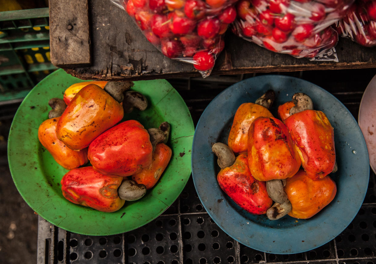 Sieht doch lecker aus, oder? Aber Cashews – beziehungsweise Teile davon – enthalten ein giftiges Öl, das Verbrennungen verursachen kann. (Bild: Getty Images)