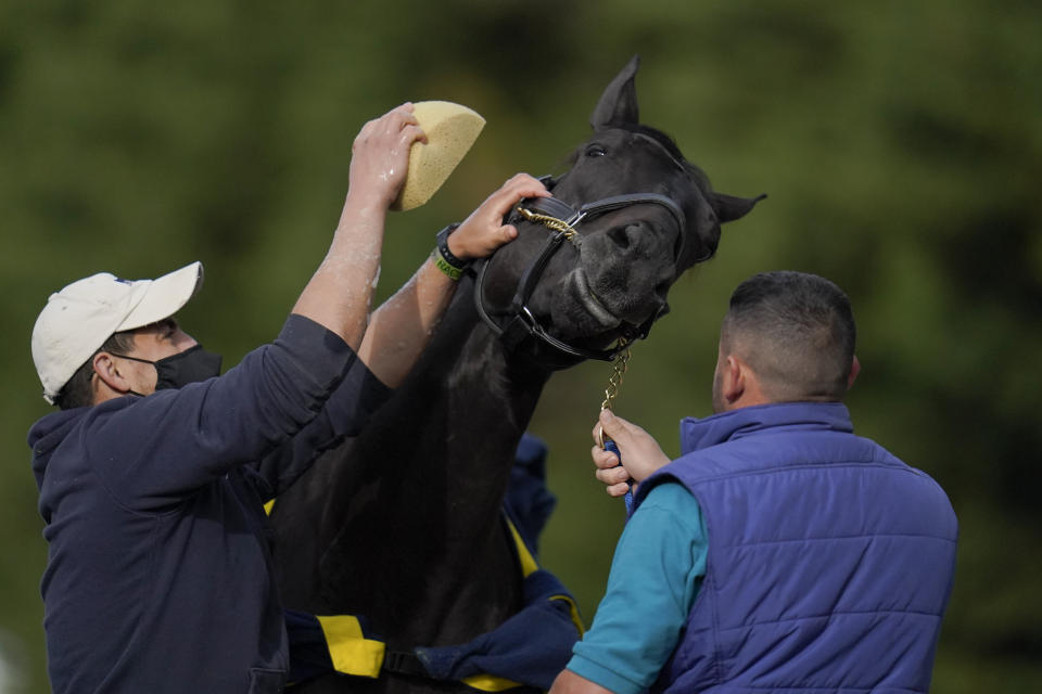 Kentucky Derby winner and Preakness entrant Medina Spirit is bathed after a workout ahead of the Preakness Stakes horse race at Pimlico Race at Pimlico Race Course, Wednesday, May 12, 2021, in Baltimore. (AP Photo/Julio Cortez)