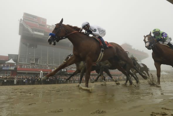 Static AP Preakness