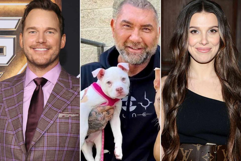 <p>Getty;Dave Bastitua/Instagram</p> From left: Chris Pratt; Dave Bautista and his dog Talulah; Millie Bobby Brown