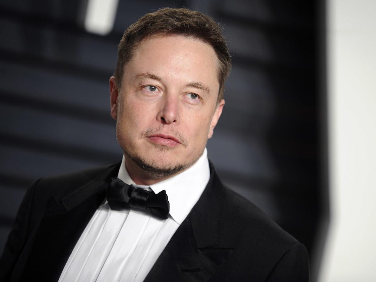 Elon Musk: Alamy