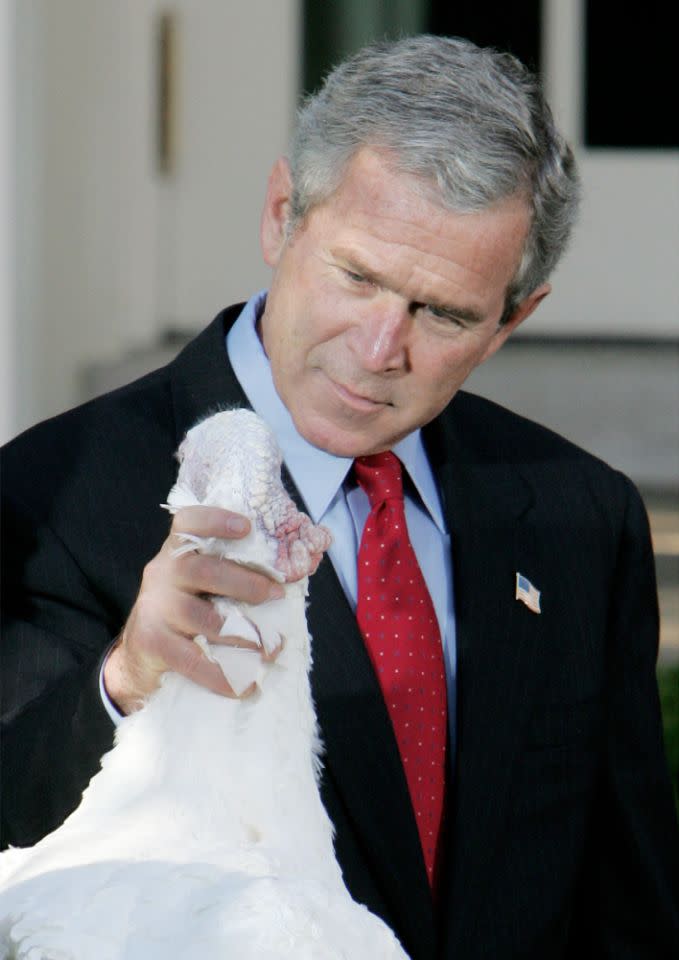 President George W. Bush holds “Biscuits” the turkey by the neck as he participated in the pardoning of the national Thanksgiving turkey, Nov. 17, 2004, in the Rose Garden of the White House. (Photo: Ron Edmonds/AP)