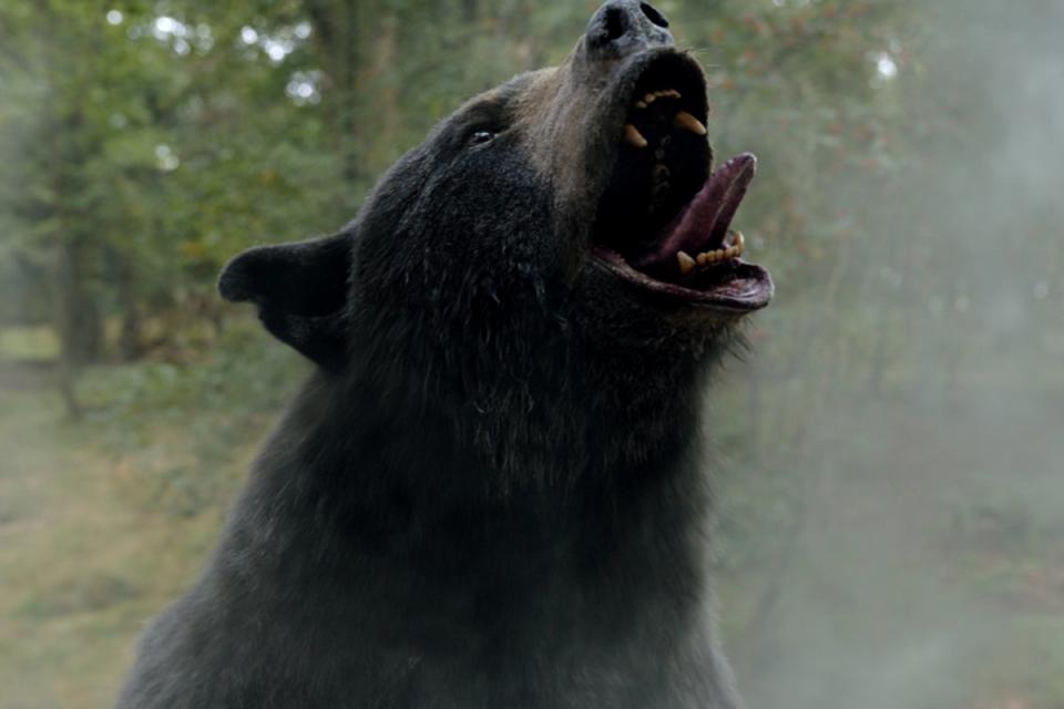 Cocaine Bear - in cinema Feb 24th (Film handout)