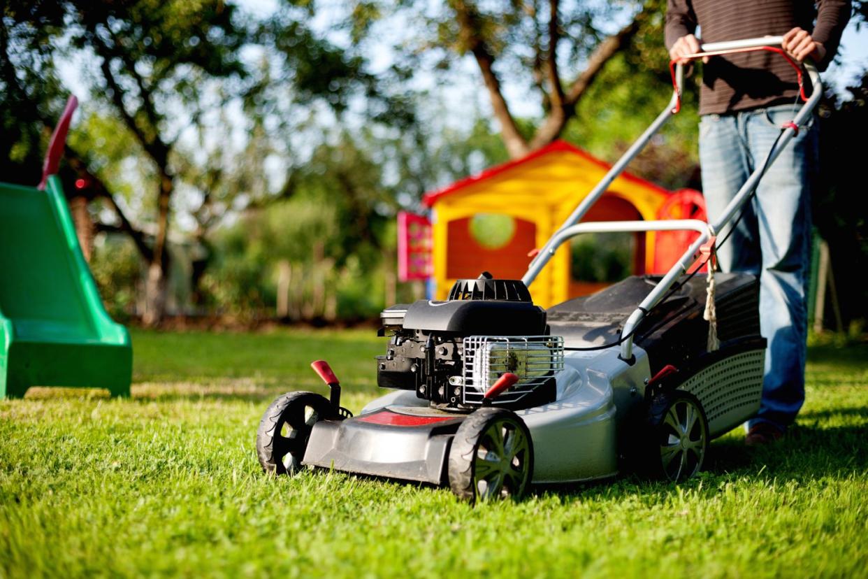 Danger: mower-related deaths were highlighted in the statistic: andreas160578/Pixabay