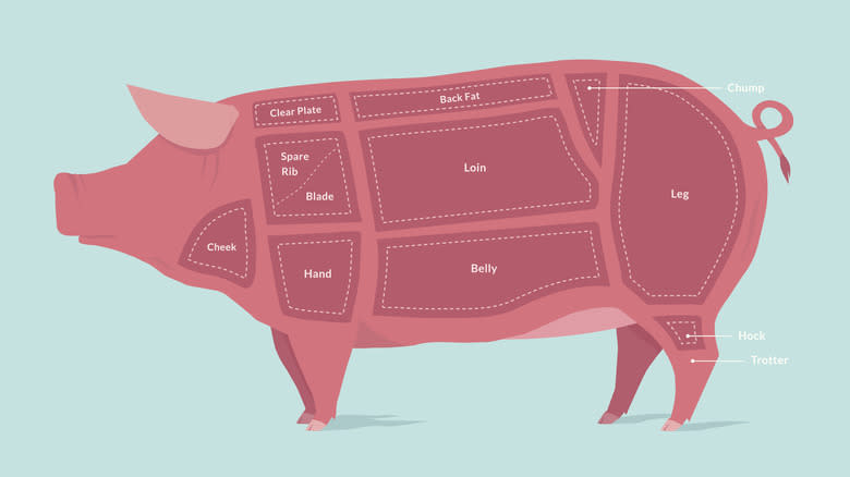 animated pig butcher cuts