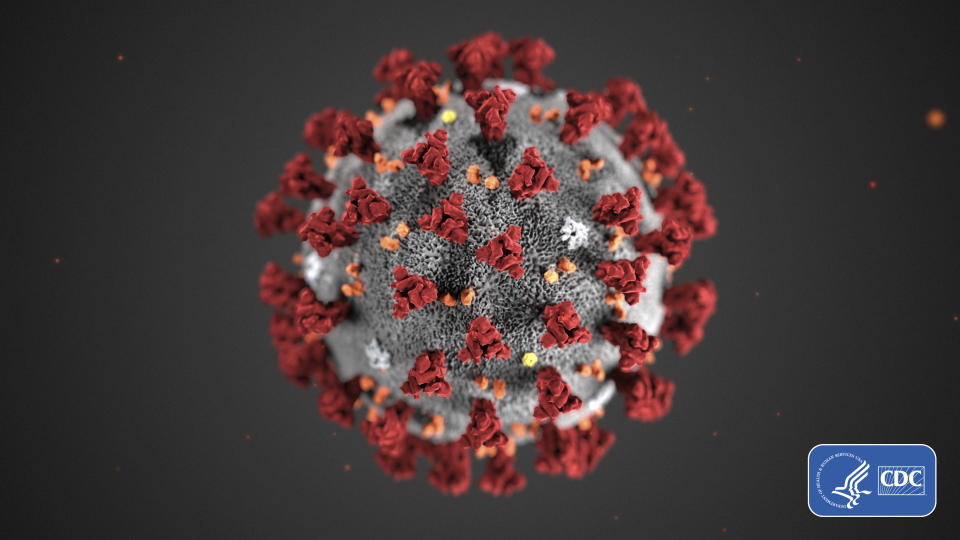 FILE - This illustration provided by the Centers for Disease Control and Prevention (CDC) in January 2020 shows the 2019 Novel Coronavirus (2019-nCoV). The coronavirus outbreak has exposed a seeming disconnect between the financial markets and science. Health experts are uncertain how far the virus out of China will spread and how bad the crisis will get, yet stock markets are rallying as if they’re not expecting more than a modest hit to the global economy. (CDC via AP, File)