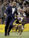 <p>Handler Diego Garcia guides boxer Devlin around the ring during the working group competition at the 141st Westminster Kennel Club Dog Show, Tuesday, Feb. 14, 2017, in New York. (AP Photo/Julie Jacobson) </p>