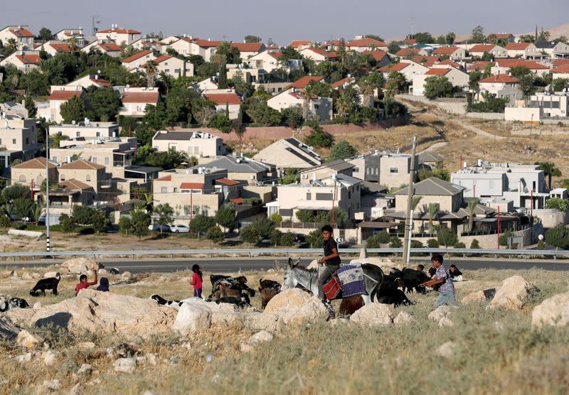 A boy riding a donkey herds goats and sheep near the Jewish settlement of Kedar in the Israeli-occupied West Bank