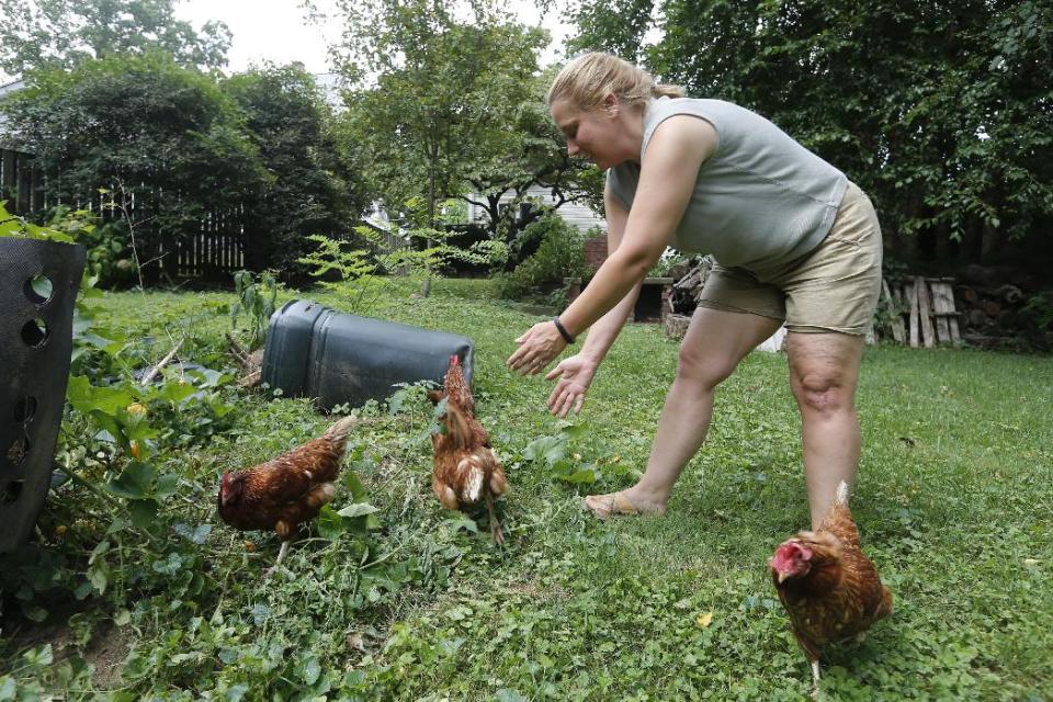 In this Sunday, Aug. 11, 2013 photo, Sandy Schmidt, who owns a portable chicken coop, rounds up her chickens at her home in Silver Spring, Md. "Eat local" is the foodie mantra, and nothing is more local than an egg from your own backyard. More and more urban and suburban dwellers are deciding to put up a coop and try chicken farming. ( (AP Photo/Charles Dharapak)