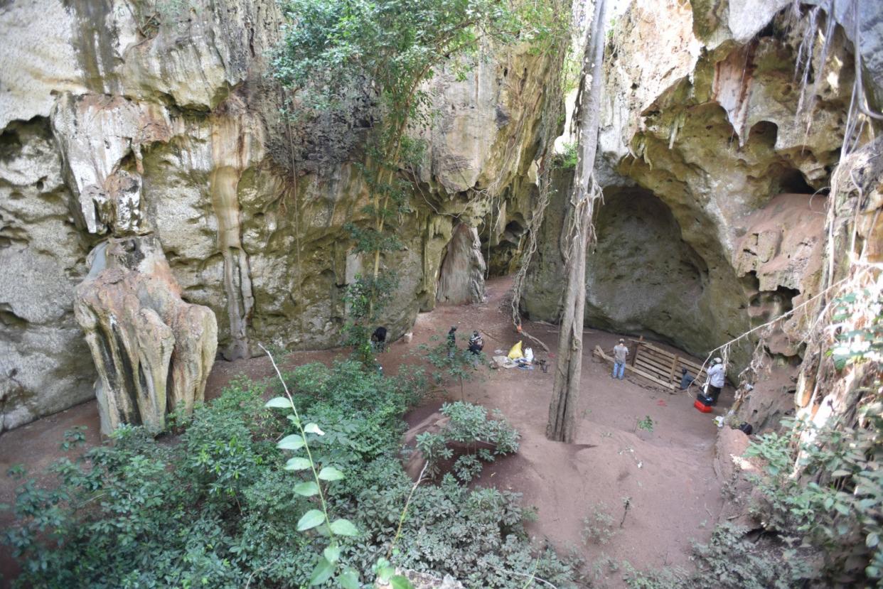 <p>General view of cave site of Panga ya Saidi where burial was unearthed</p> (Mohammad Javad Shoaee)