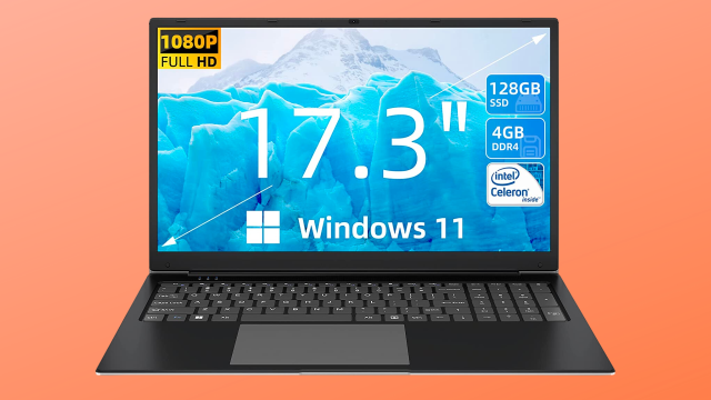 Powerful 17 SGIN Laptop: 8GB RAM, 256GB SSD 