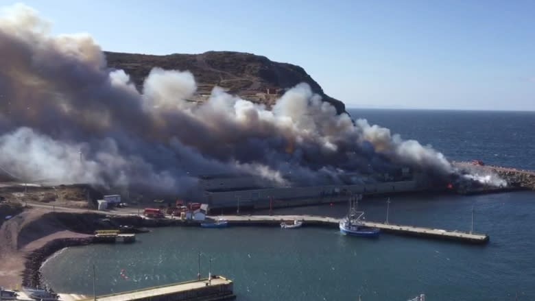 Plant workers optimistic as new Bay de Verde fish plant tests production 1 year after fire