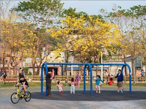 台中黃花風鈴木茂密盛開，家長帶小孩到廍子公園嬉戲。（圖／IG @studioledoudou提供）