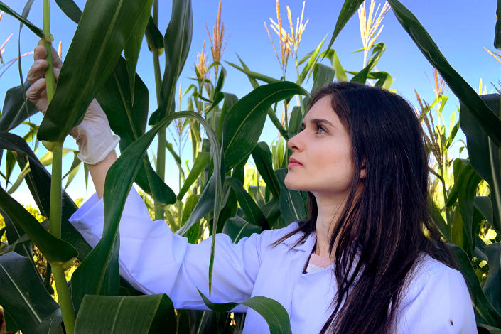 Agrotech: Filha de pequenos agricultores do DF, Carime Rodrigues se v como minoria no setor ao focar esforos no desenvolvimento de produtores familiares com sua startup de biofertilizante KrillTech