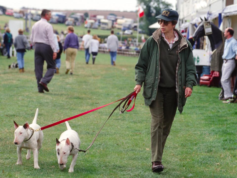 Princess Anne Walking Around Trade Stands With Two Of Her Bull Terrier Dogs At The British Horse Trials Championships At Gatcombe Park In Gloucestershire.