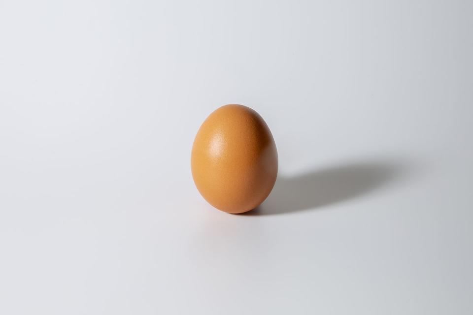 brown egg on white background in studio