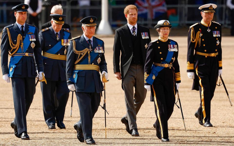 King Charles leads his siblings and two sons in the procession following the coffin of Queen Elizabeth on Wednesday - AFP