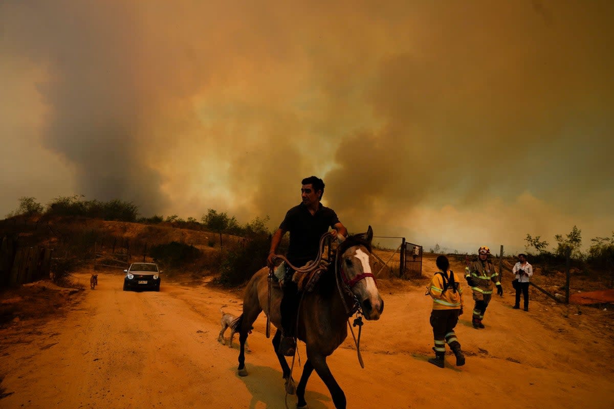 A resident flees an encroaching forest fire in Vina del Mar, Chile (AP)