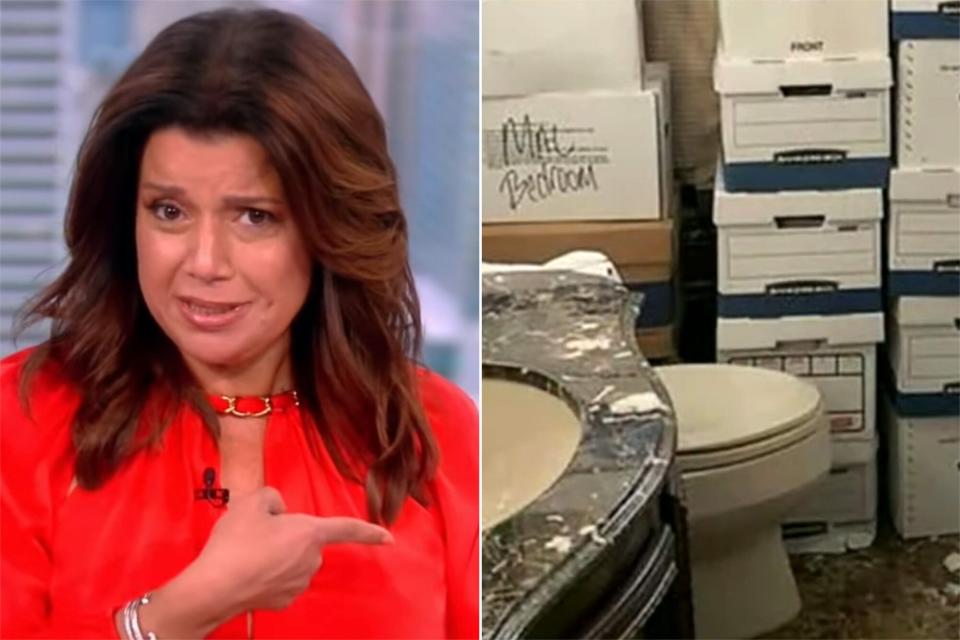 Ana Navarro criticizes Donald Trump's toilet on 'The View'