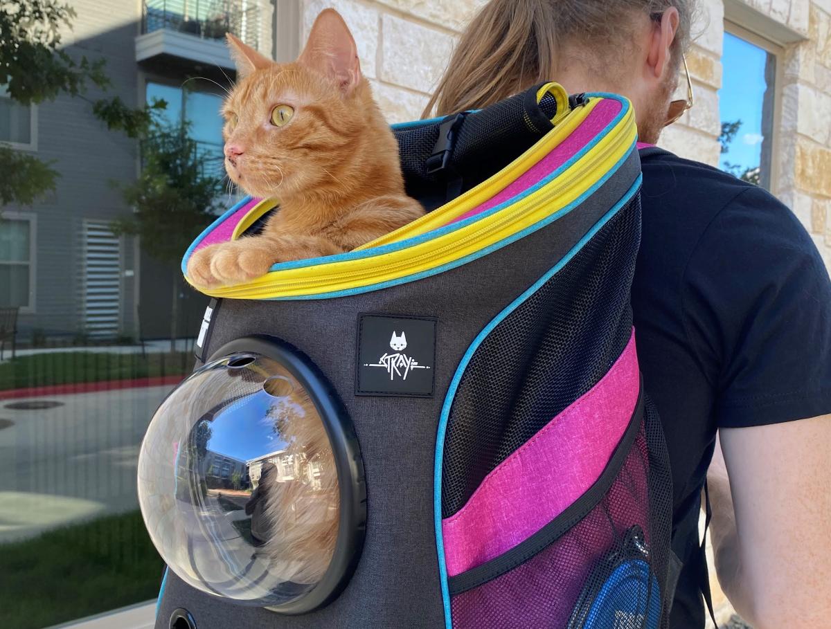 The Morning After: 'Stray' tie-in merch includes a limited-edition cat  backpack