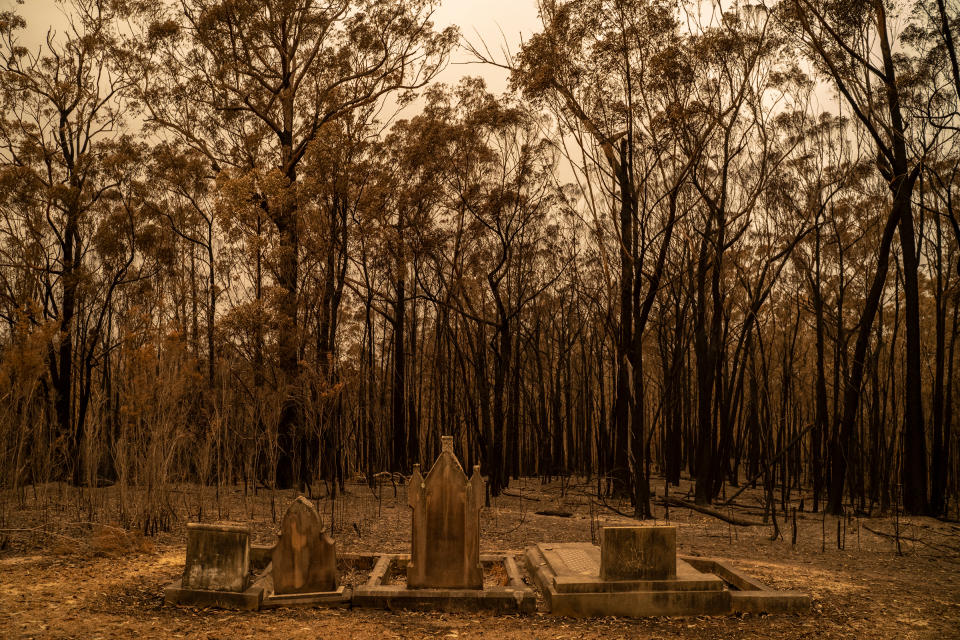 A cemetery recently hit by bushfires near Mogo, New South Wales, on Jan. 5. | Adam Ferguson for TIME