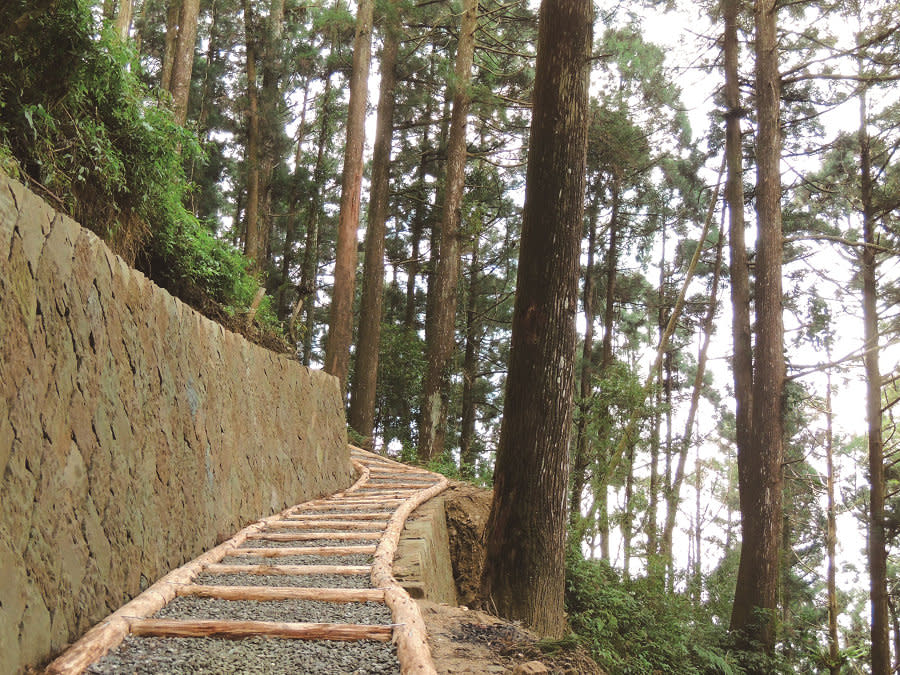 大凍山步道(圖片來源：嘉義縣文化觀光局)